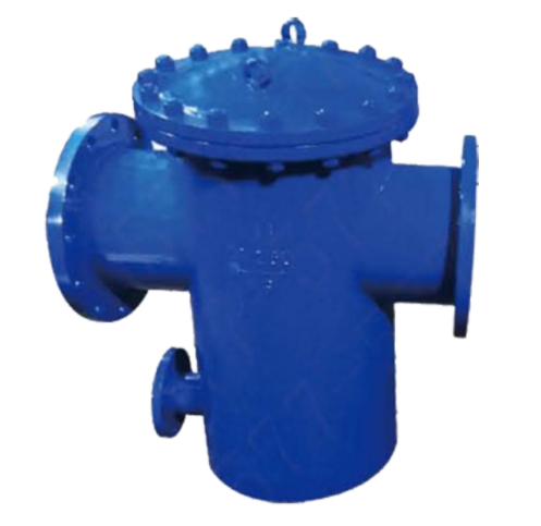 t型藍(lán)式過濾器